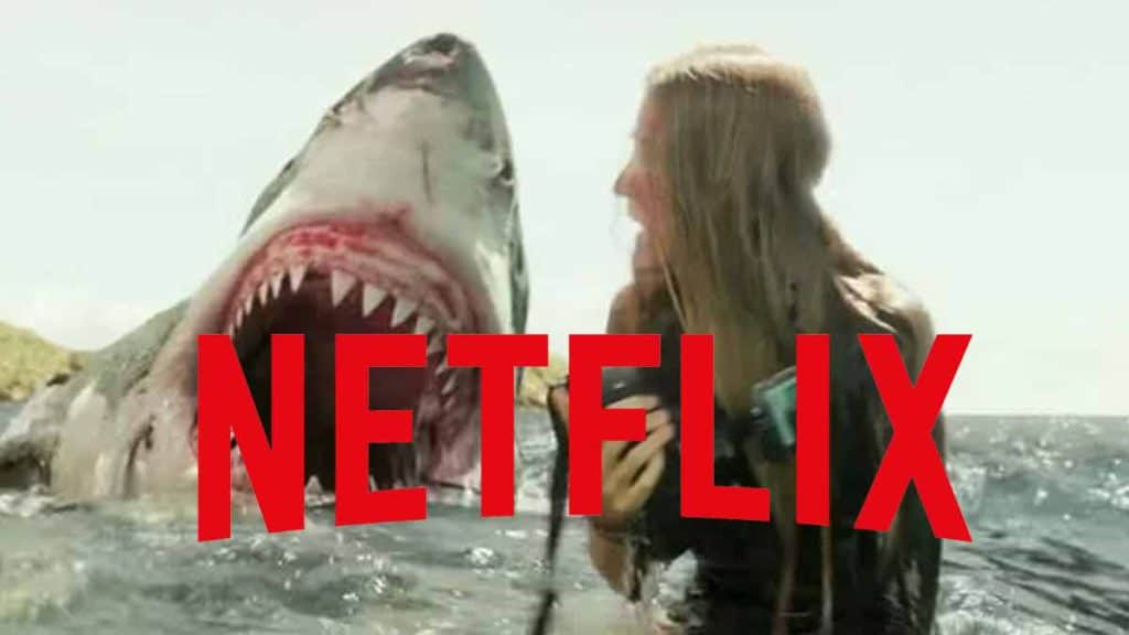 11 Shark Movies On Netflix (Our Picks) BuddyTV